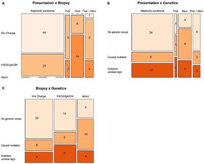 Biopsy or Biomarker? Children With Minimal Change Disease Have a Distinct Profile of Urinary Epidermal Growth Factor